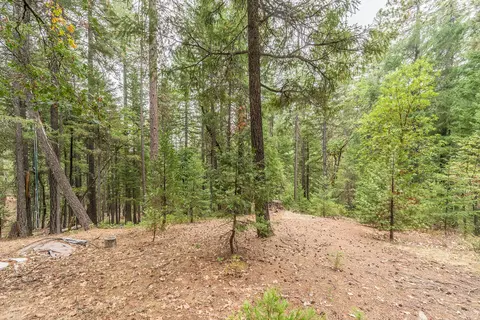 641 Boulder Lakes Trl, Coffee Creek, CA 96091 photo 29
