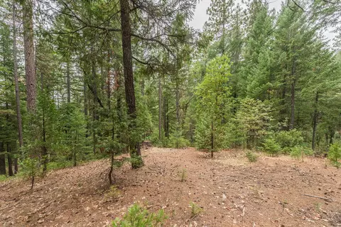 641 Boulder Lakes Trl, Coffee Creek, CA 96091 photo 28