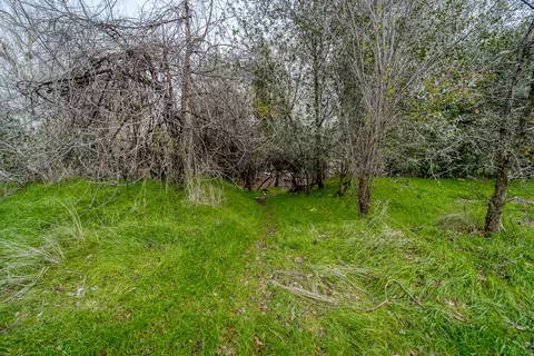 725 Ash St, Red Bluff, CA 96080 photo 33