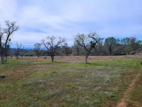 27655 Wildcat Rd, Shingletown, CA 96088 photo 3