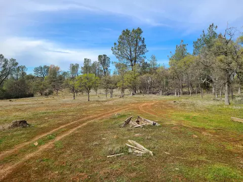 27655 Wildcat Rd, Shingletown, CA 96088 photo 4