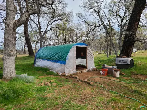 27655 Wildcat Rd, Shingletown, CA 96088 photo 18