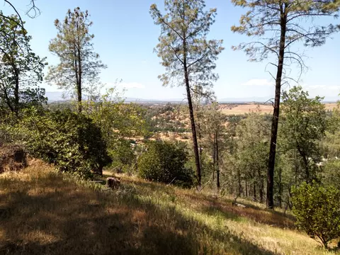 15912 Stagecoach, Corning, CA 96021 photo 21