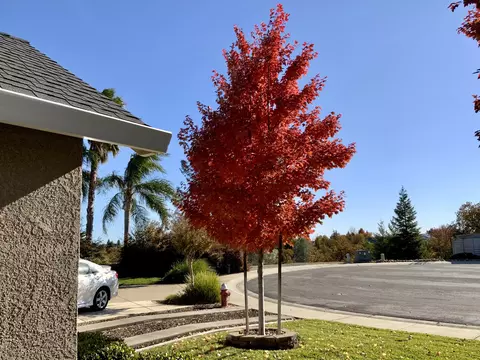 4020 Winter Green Ct, Redding, CA 96001 photo 6
