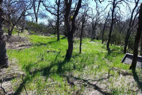 Lot 85 Jeffrey Rd, Ono, CA 96047 photo 14