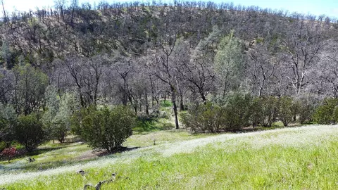 Lot 85 Jeffrey Rd, Ono, CA 96047 photo 17
