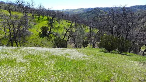 Lot 85 Jeffrey Rd, Ono, CA 96047 photo 16