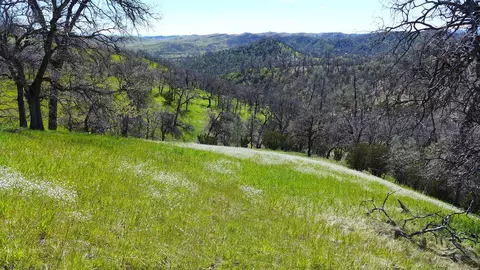 Lot 85 Jeffrey Rd, Ono, CA 96047