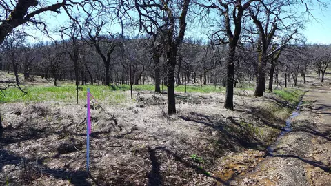 Lot 85 Jeffrey Rd, Ono, CA 96047 photo 5