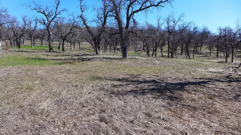 Lot 85 Jeffrey Rd, Ono, CA 96047 photo 7