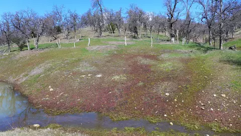 Lot 85 Jeffrey Rd, Ono, CA 96047 photo 12