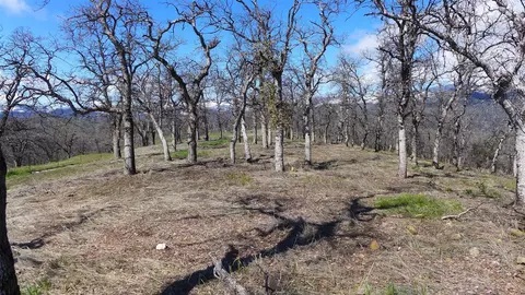Lot 85 Jeffrey Rd, Ono, CA 96047 photo 19