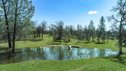 12027 Lewis Ln, Redding, CA 96003 photo 31