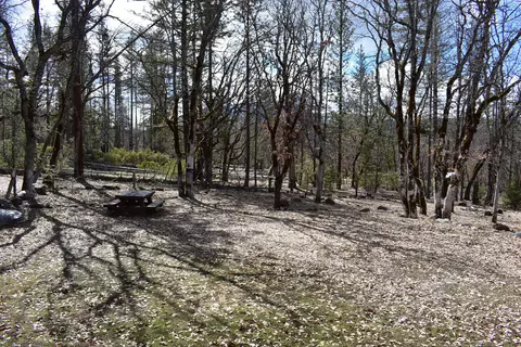 2021 Barker Valley Rd, Hayfork, CA 96041 photo 5