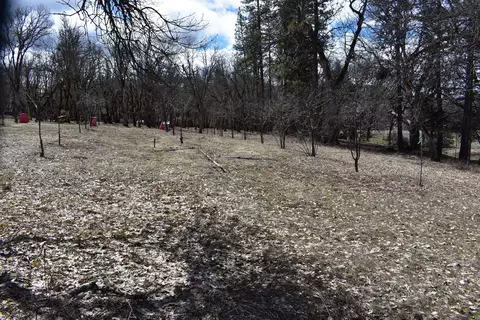 2021 Barker Valley Rd, Hayfork, CA 96041 photo 28