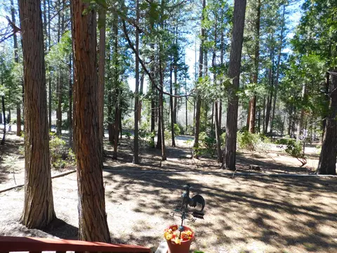 20147 Mowry Ln, Burney, CA 96013 photo 34