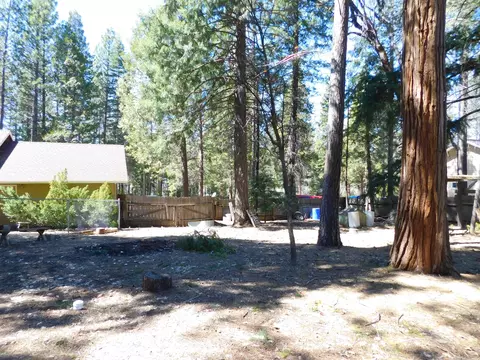 20147 Mowry Ln, Burney, CA 96013 photo 29