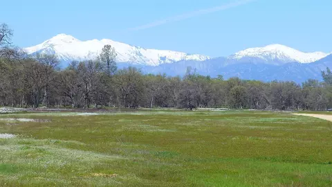 7 7 Acres Two Feathers Rd, Cottonwood, CA 96022