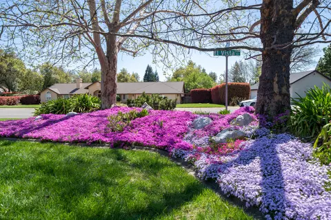 2380 El Vista St, Redding, CA 96002 photo 10