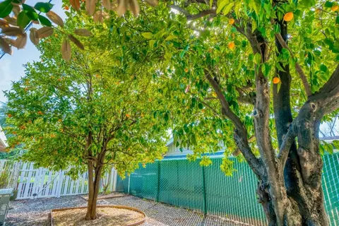 830 Hallmark Dr, Redding, CA 96001 photo 37