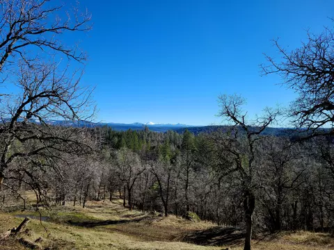 93 Acres Backbone Rd, Bella Vista, CA 96008