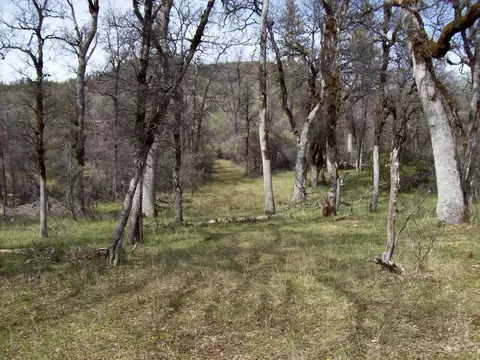 Grindlay Ranch Rd, Whitmore, CA 96096