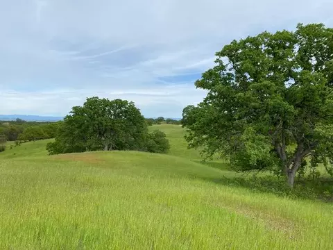 15 Acres Hannah Ct, Red Bluff, CA 96080