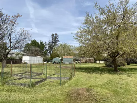 19429 SW Alta Vista Dr, Red Bluff, CA 96080 photo 45