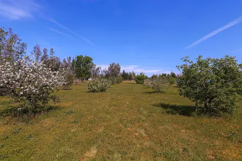 6445 Clear View Dr, Anderson, CA 96007 photo 28