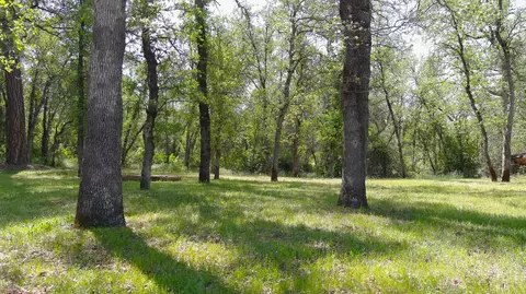 11867 Yosemite Dr, Redding, CA 96003 photo 69