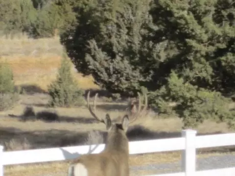 View/Area - 661-775 Bunselmeier Rd, Bieber, CA 96009 photo 1 of 5