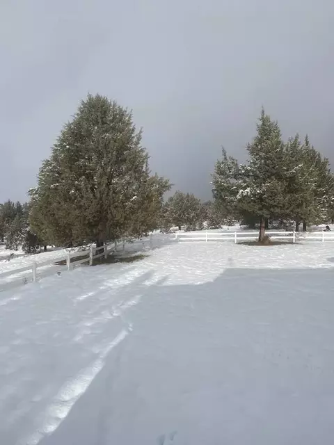 View/Area - 661-775 Bunselmeier Rd, Bieber, CA 96009 photo 4 of 5