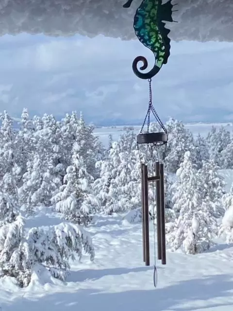 View/Area - 661-775 Bunselmeier Rd, Bieber, CA 96009 photo 3 of 5