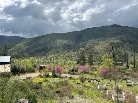 15923 Log Cabin Rd, French Gulch, CA 96033