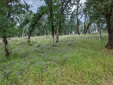 19789 Weide Way, Anderson, CA 96007 photo 41