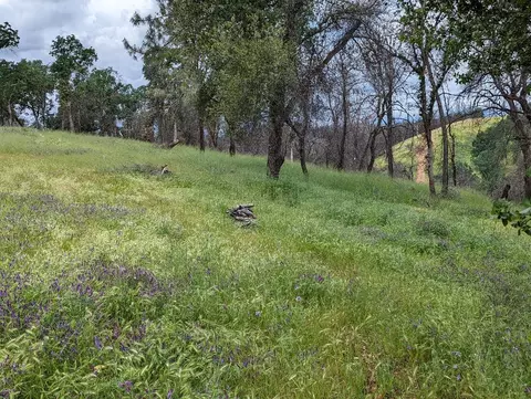 19789 Weide Way, Anderson, CA 96007 photo 39