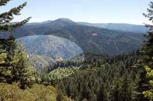 APT 11 Forest Service Rd., Big Bend, CA 96011