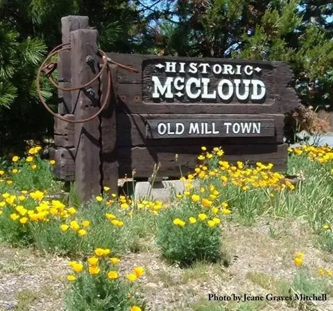 View/Area - 561 Quincy Ave, Mccloud, CA 96057 photo 1 of 5