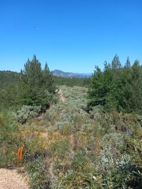 Backbone Rd., Bella Vista, CA 96008