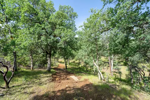 16671 Power Line Rd, Redding, CA 96001 photo 91