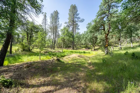 16671 Power Line Rd, Redding, CA 96001 photo 96