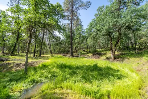 16671 Power Line Rd, Redding, CA 96001 photo 94