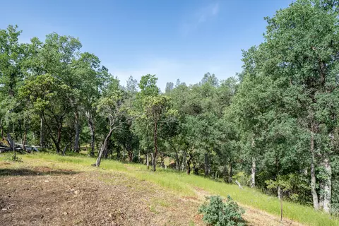 16671 Power Line Rd, Redding, CA 96001 photo 98