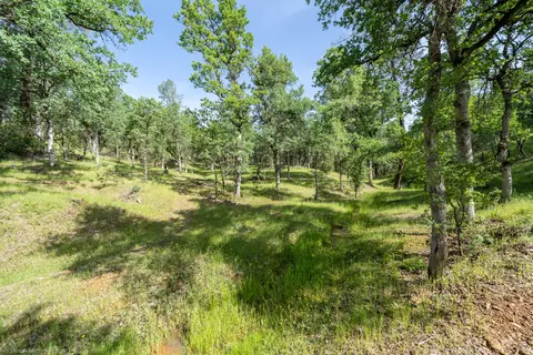 16671 Power Line Rd, Redding, CA 96001 photo 92
