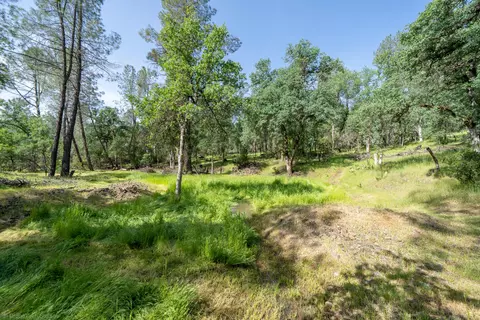 16671 Power Line Rd, Redding, CA 96001 photo 95