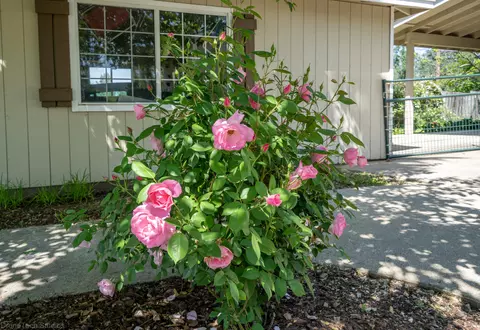 761 Shamrock St, Redding, CA 96003 photo 28