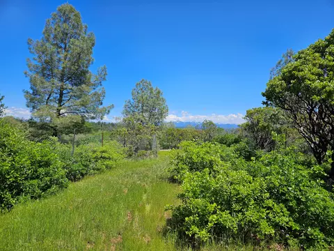 40 Acres Gold Run Rd, Bella Vista, CA 96008