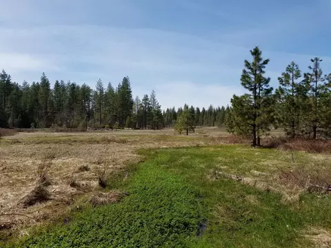 32952 100 Rd, Shingletown, CA 96088 photo 6