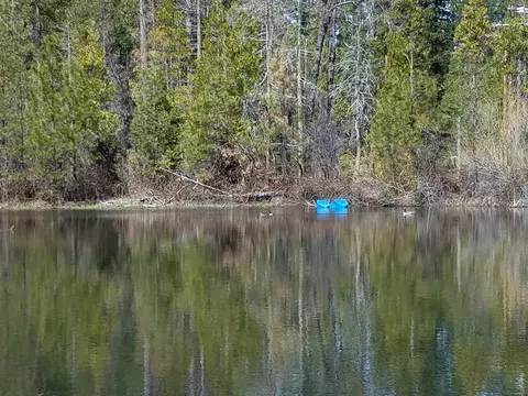 32952 100 Rd, Shingletown, CA 96088 photo 9
