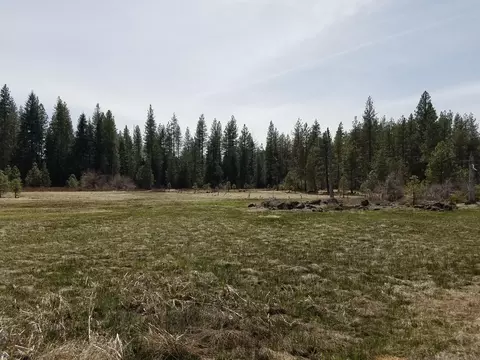 32952 100 Rd, Shingletown, CA 96088 photo 13